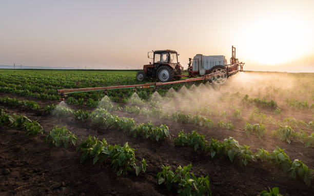 Best Mosquito Control Services  in New Kingman Butler, AZ