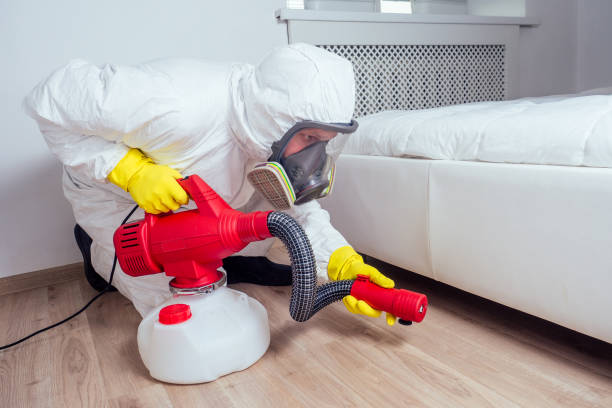 Best Bed Bug Extermination  in New Kingman Butler, AZ