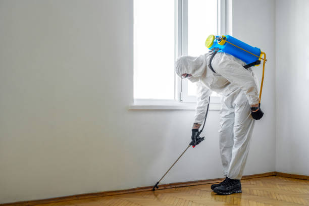Best Rat Extermination Near Me  in New Kingman Butler, AZ