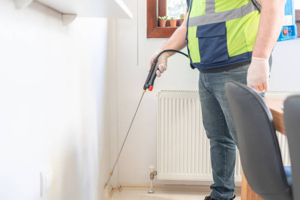 Best Pest Control Near Me  in New Kingman Butler, AZ