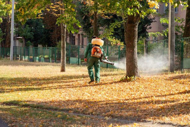 Best Exterminator Services  in New Kingman Butler, AZ