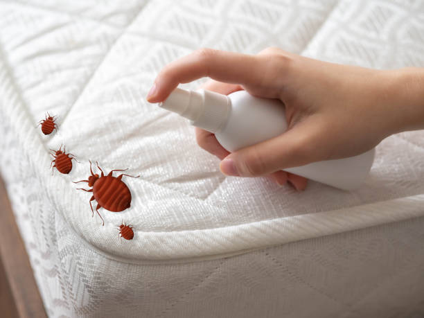 New Kingman Butler, AZ Pest Control Company