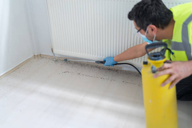 Best Wasp Removal Services  in New Kingman Butler, AZ