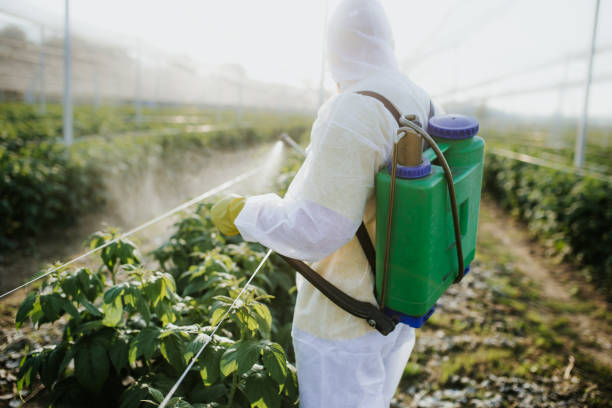 Flea Control Services in New Kingman Butler, AZ